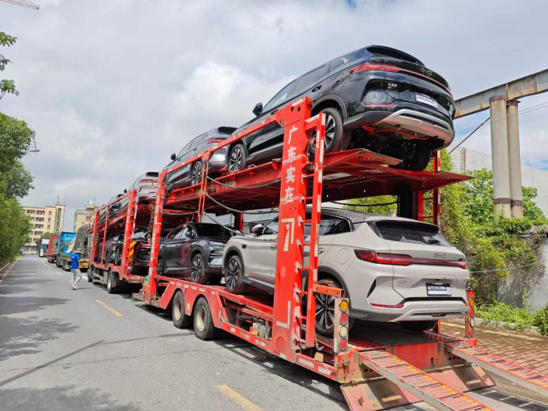 Vehicle Inspection 3