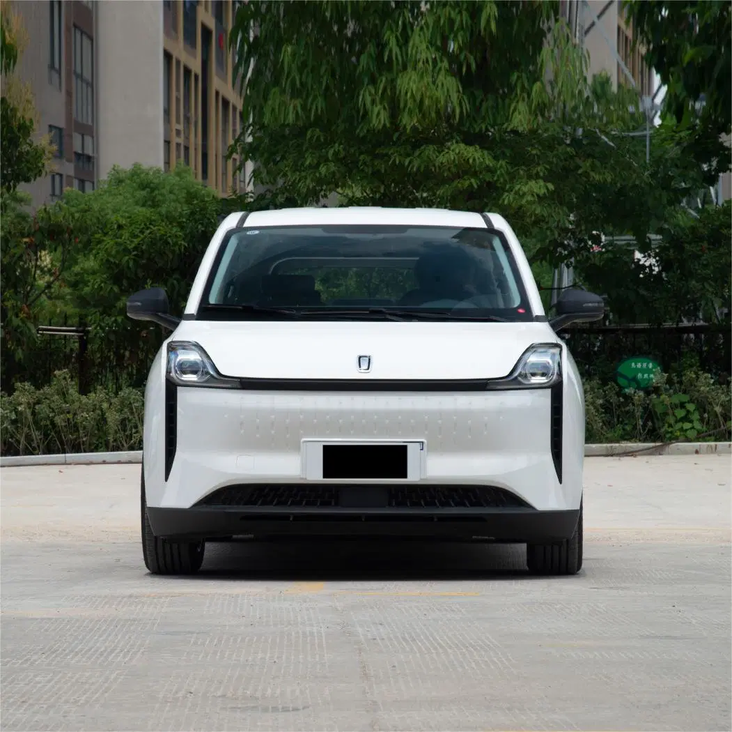 2023 Benteng Nat, Pure Electric Taxi, Cheap Price And Wholesale with Export Trade - Benteng - 2