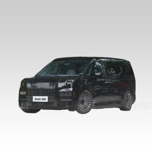 2024 Zeekr 009 MOI 702KM