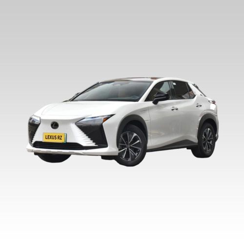 Product in 2024 Lexus RZ 300e/450e Purchasing Guide in China