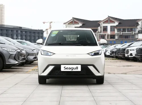 2-seagull-auto-in-china