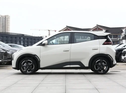 3-seagull-auto-in-china