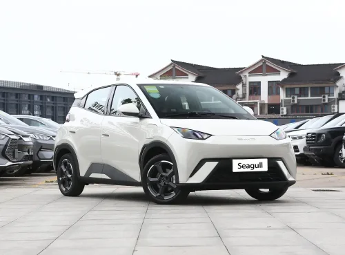 5-seagull-auto-in-china