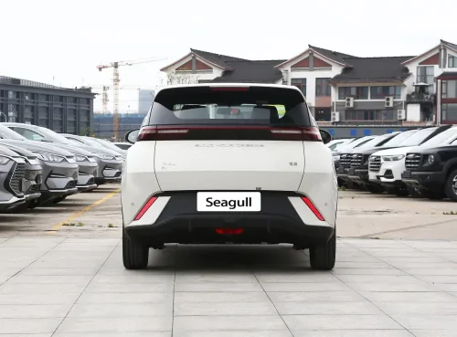 6-seagull-auto-in-china