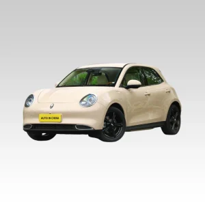 2024 Tolle Wandmotoren Ora Good Cat 401 km Luxusversion