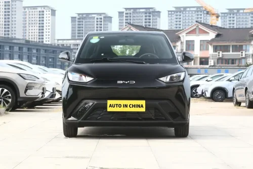 25-byd-seagull-auto-in-china-2