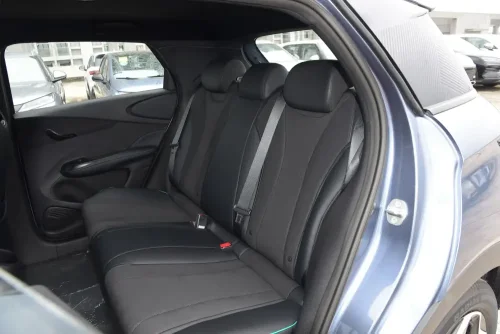 25-byd-dolphin-auto-in-china-8