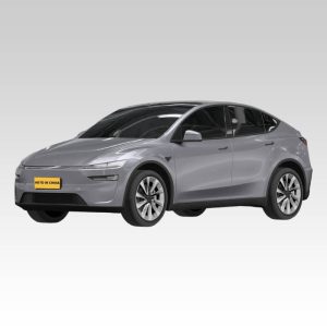 2025 tesla model y——Auto in China