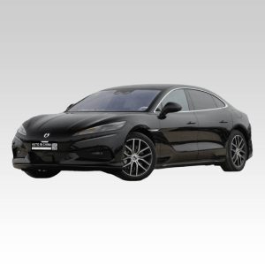 byd-denza-z9-ev-auto-in-china