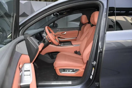 tang-l-ev-auto-en-chine-6