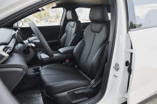 25-Global-Auto-in-China-11
