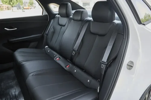 25-Global-Auto-in-China-13