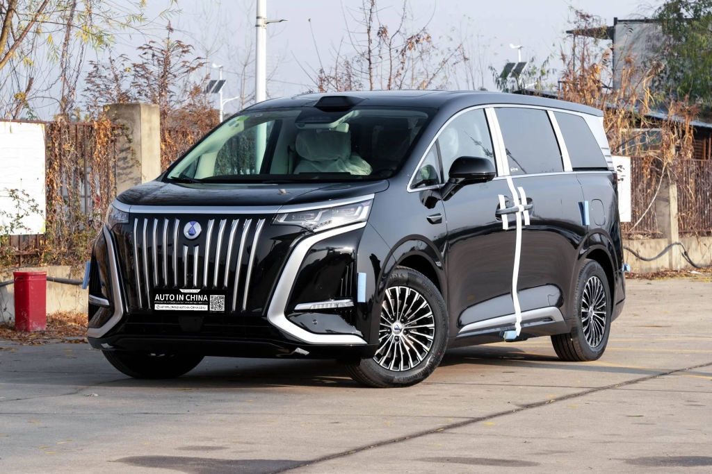 2025 DENZA D9 EV Auto Exporter in China