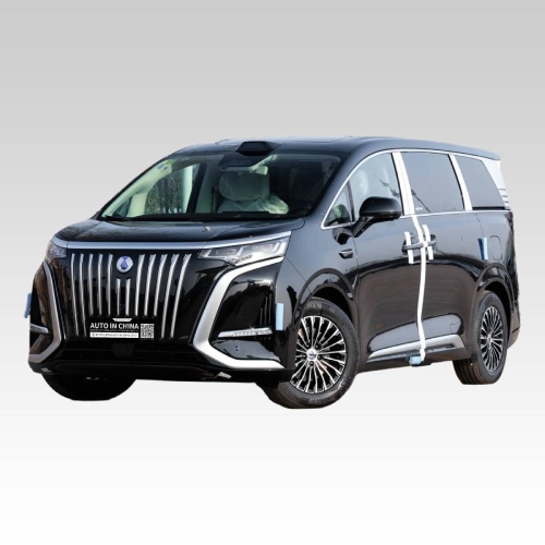 2025 DENZA D9 EV Auto Exporter in China