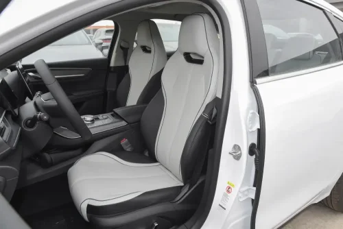 25-byd-destroyer-05-auto-in-china-10