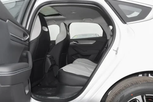 25-byd-destroyer-05-auto-in-china-11