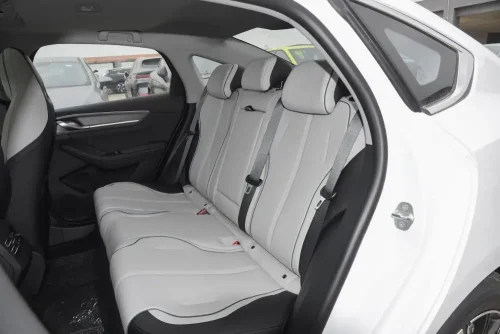 25-byd-destroyer-05-auto-in-china-12