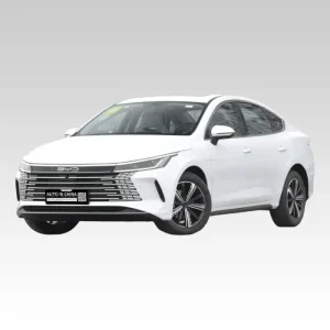 25-byd-destroyer-05-auto-in-china