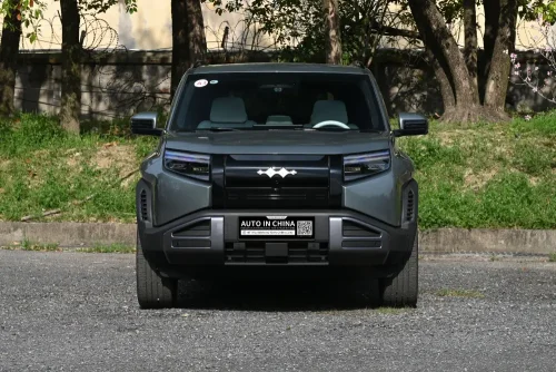 25-byd-leopard-titanium-3-auto-in-china-2