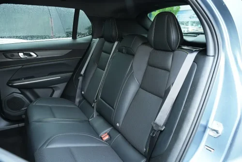 Рысь&co-01-auto-in-china-12