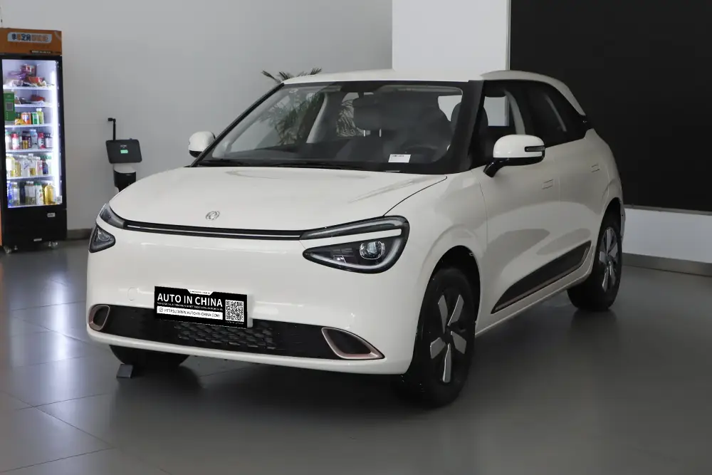 2025 Dongfeng konfeti 01 Xitoy avtomobil sotuvchisi