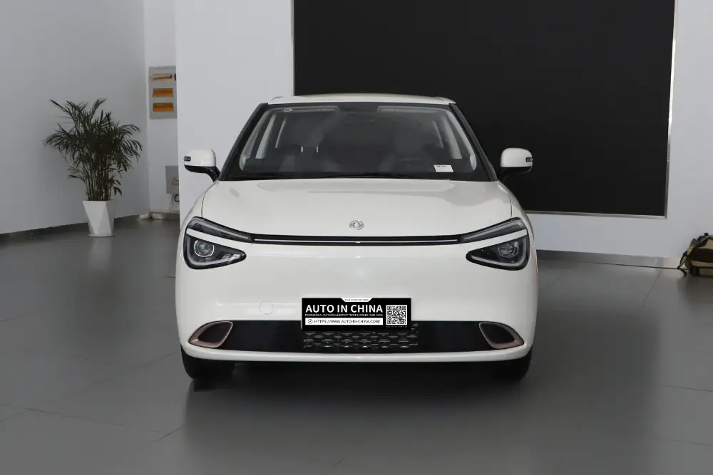 25-dongfeng-nammi-01-auto-in-china-2