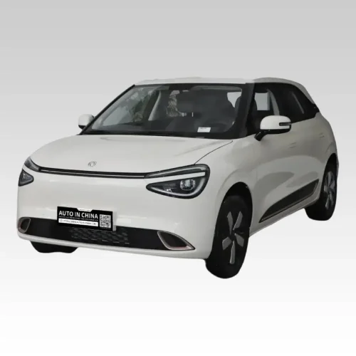 2025 DongFeng Nammi 01 China Car Dealer