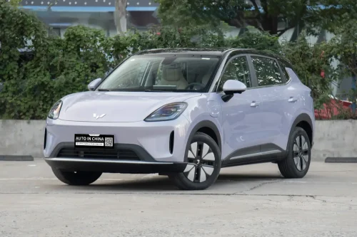 2025 Wuling Bingo S 325km Premium Edition available from China