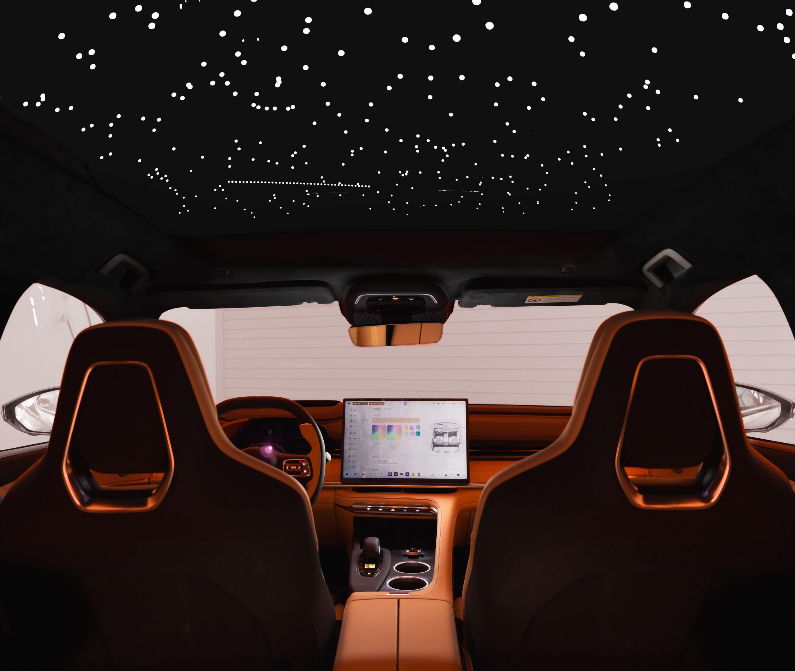 2026 Zeekr 001 starry sky headliner