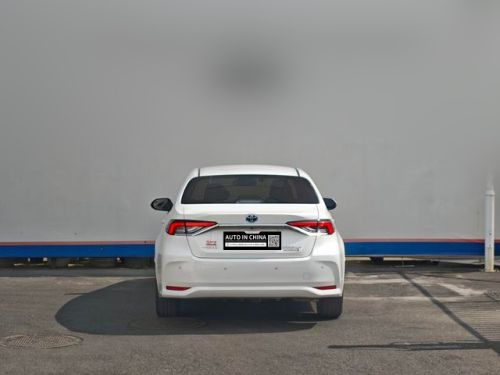 View image 4