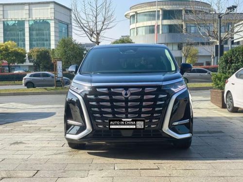 【AIC-MAR116】Denza D9 DM 2024 1050 Premium Edition| Chinese Used Car Exporter