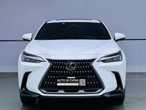 【AIC-APR131】Lexus NX 2025 200 Front-Wheel Drive FUN Edition| Chinese Used Car Exporter