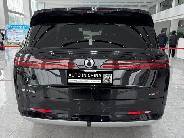 【AIC-MAR145】DENZA N9 DM 2025 Premium Edition| Chinese Used Car Exporter