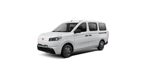 Wuling Rongguang EV | New Vehicle Export — No 180-Day Waiting Period