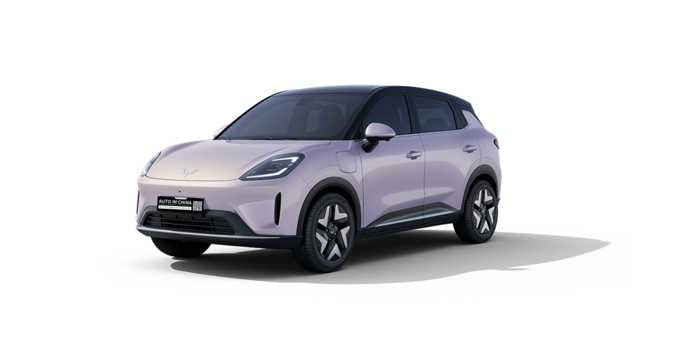 Wuling Bingo S 525km Flagship Edition| Exportación de vehículos nuevos: sin período de espera de 180 días