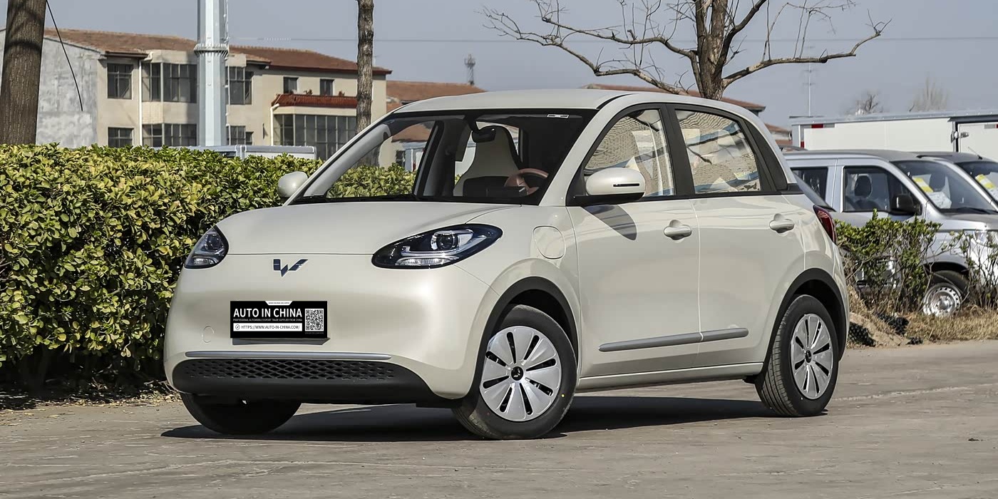 Bingo 2025 203km Lite| Exportación de vehículos nuevos: sin período de espera de 180 días