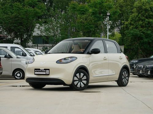 ウーリングビンゴ 2025 333km 陵渓プレミアム| 新車の輸出 - 180 日間の待機期間なし - photo 4