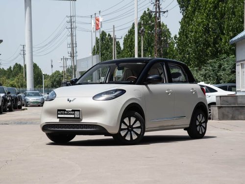 ウーリングビンゴ 2025 333km 陵渓プレミアム| 新車の輸出 - 180 日間の待機期間なし - photo 2