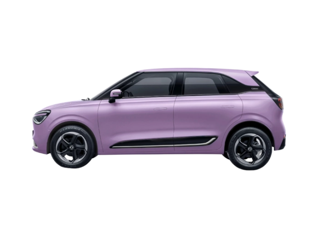 Dongfeng Nammi BOX ——EU WVTA Certified Vehicles | Brand-New Vehicles Direct from the Manufacturer