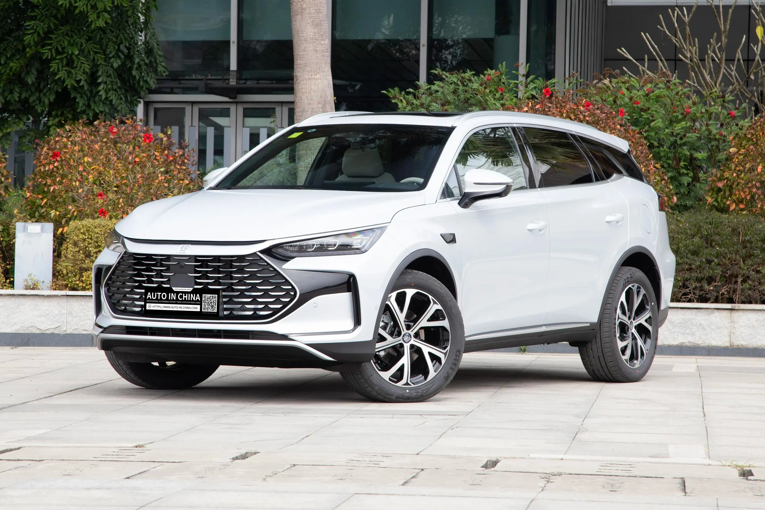 2025 BYD Tang DM-i 115KM Intelligent Driving Premium Edition