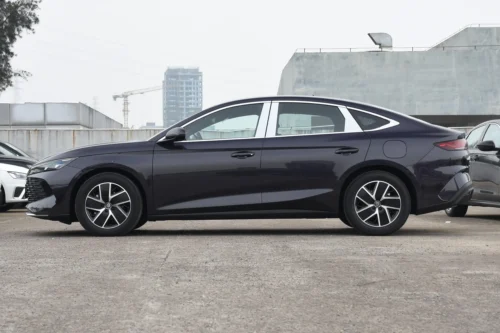 بي واي دي تشين ل DM-i 2024 80كم بعد الطبعة | سيارة سيدان هجينة - photo 3